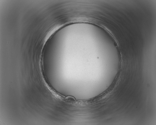 X0000076080901200610202037