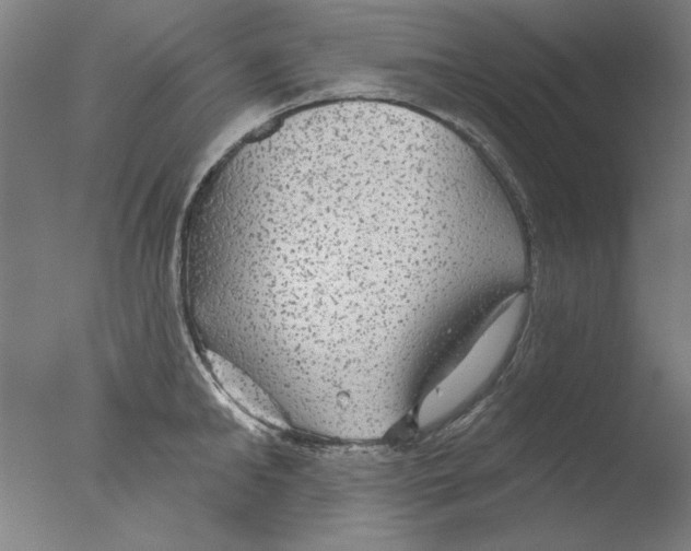 X0000076080902200610202037