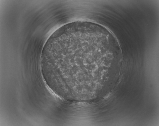 X0000076080903200610202037