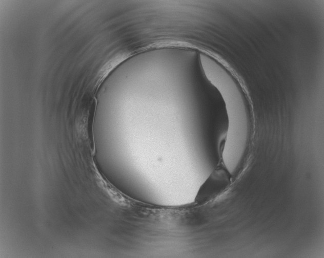 X0000076080905200610202037