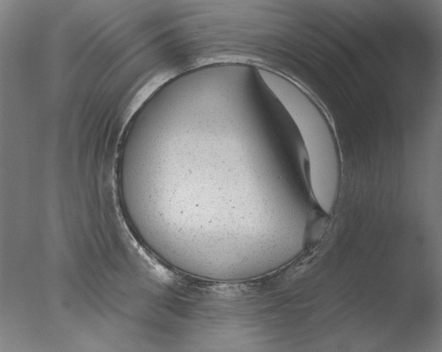 X0000076080906200610202037