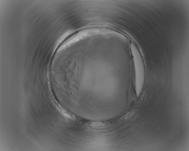 X0000076080907200610202037