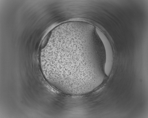 X0000076080908200610202037