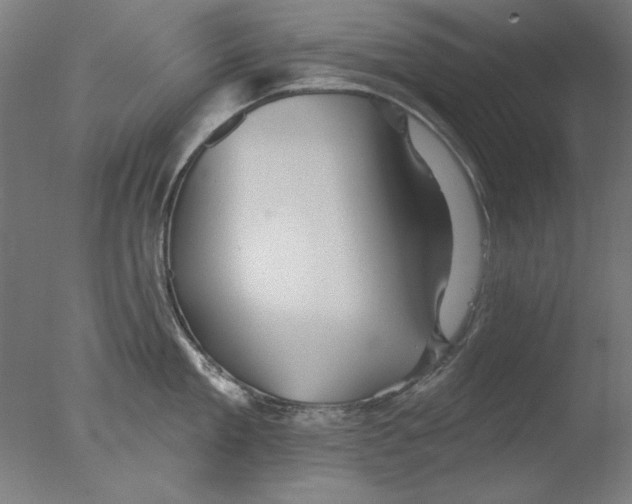 X0000076080909200610202037