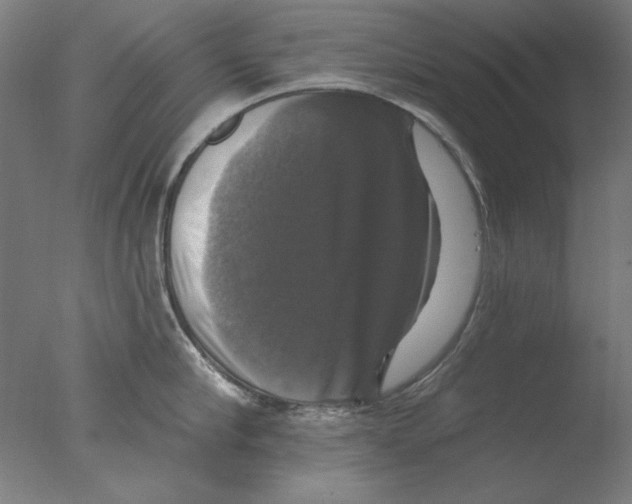 X0000076080910200610202037