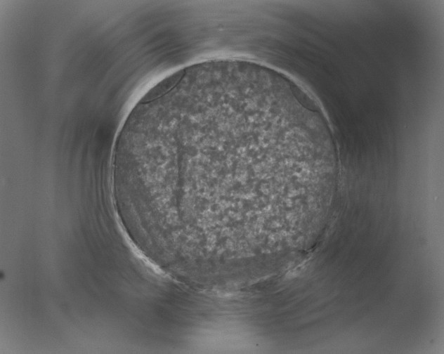 X0000076080911200610202037