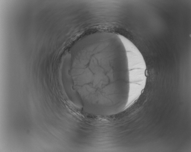 X0000076080913200610202036