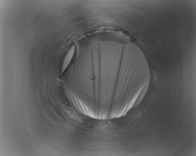 X0000076080916200610202036