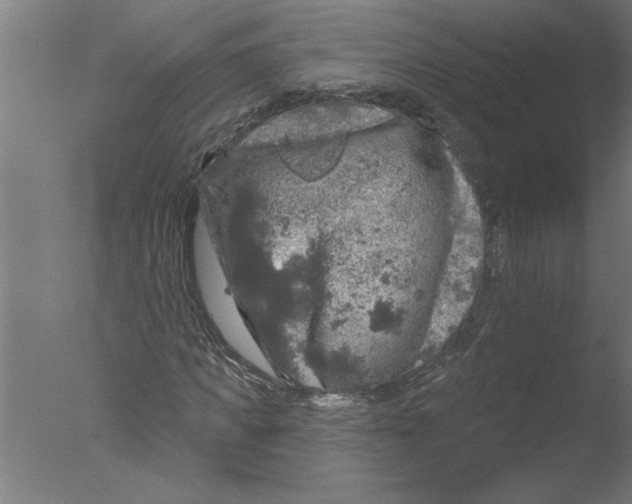 X0000076080917200610202036