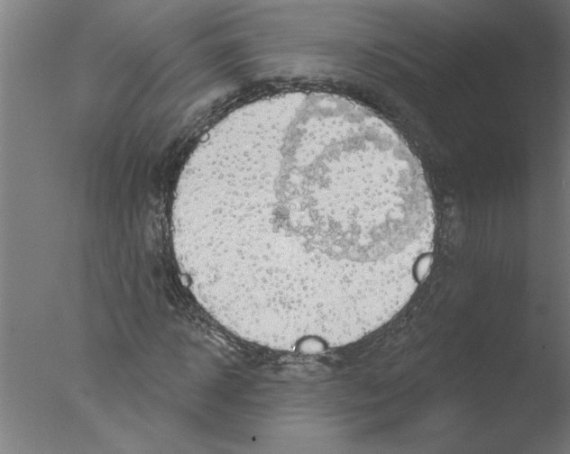 X0000076080918200610202036