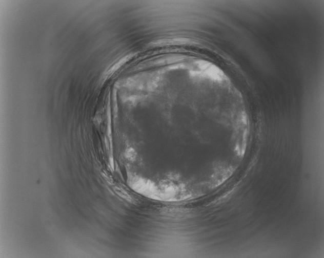 X0000076080921200610202036