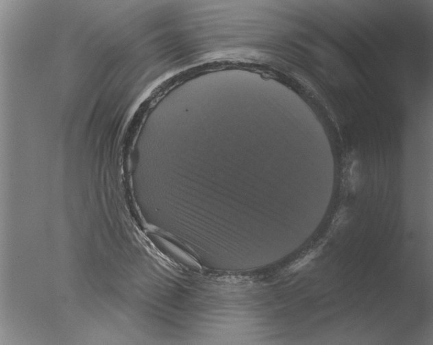 X0000076080923200610202036