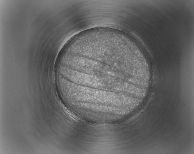 X0000076080924200610202036