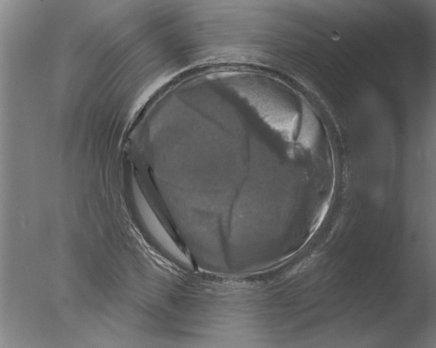 X0000076080925200610202036