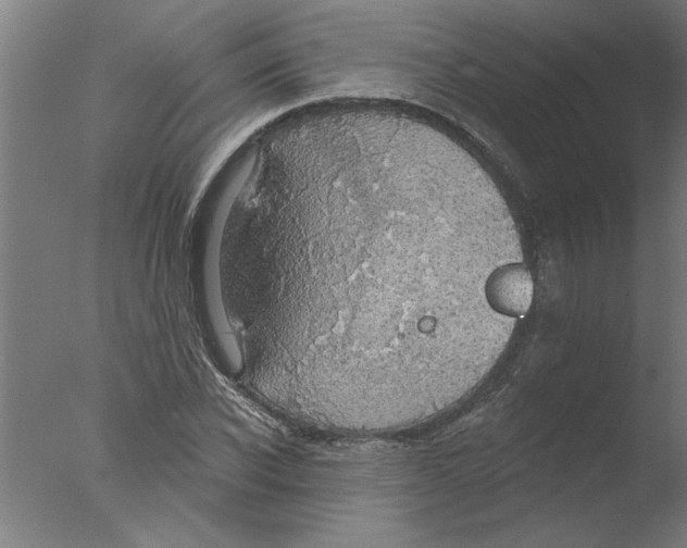 X0000076080926200610202036