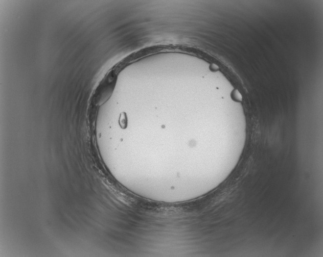 X0000076080927200610202036