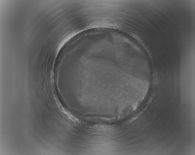 X0000076080928200610202036