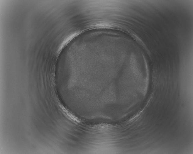 X0000076080930200610202036