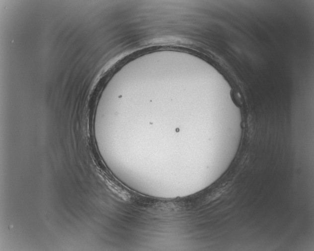 X0000076080931200610202036