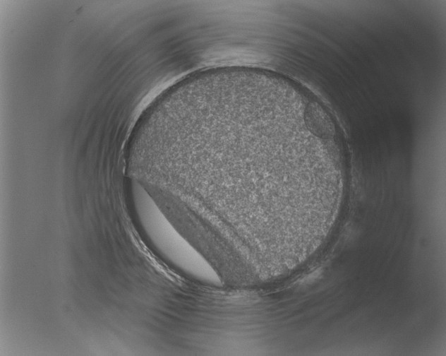 X0000076080933200610202036