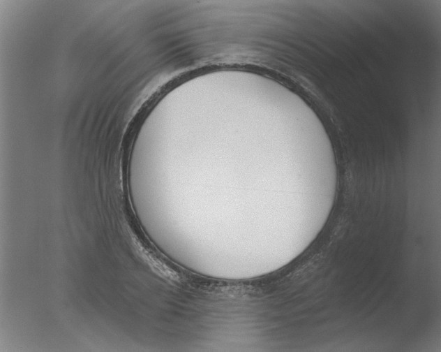 X0000076080934200610202036