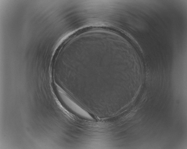 X0000076080935200610202036