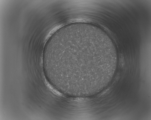 X0000076080938200610202036