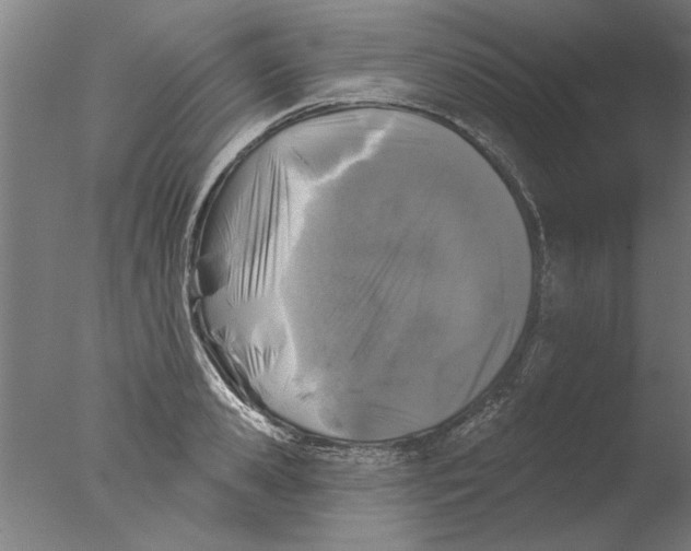 X0000076080941200610202036