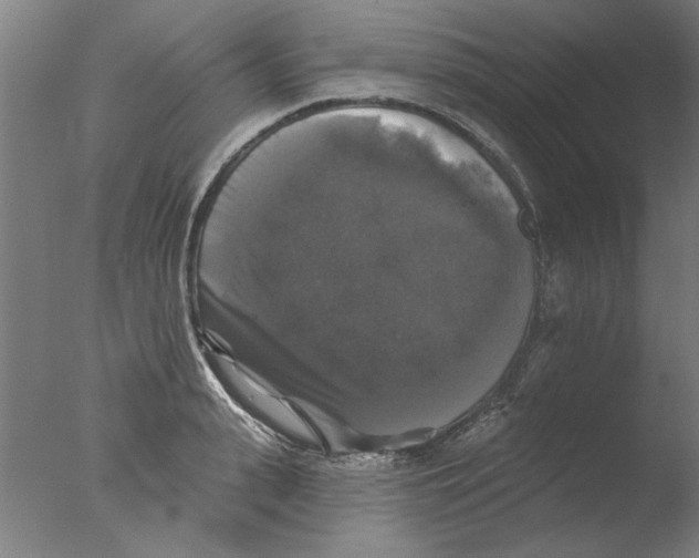 X0000076080943200610202036