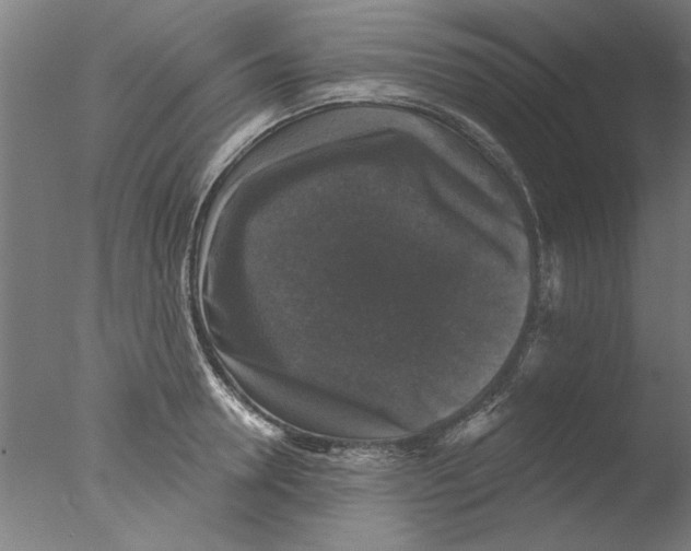 X0000076080946200610202037