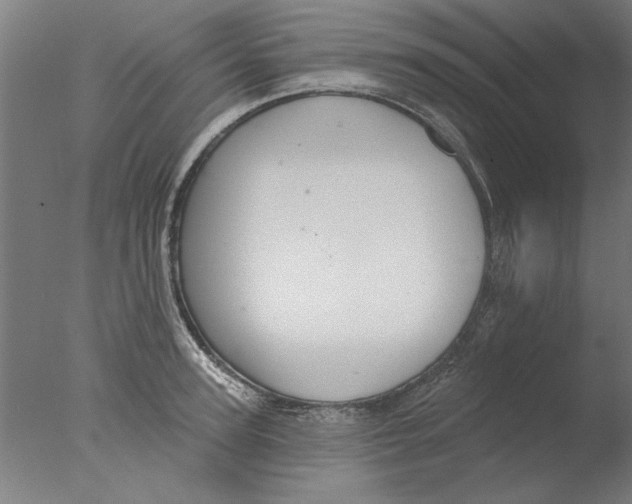 X0000076080947200610202037