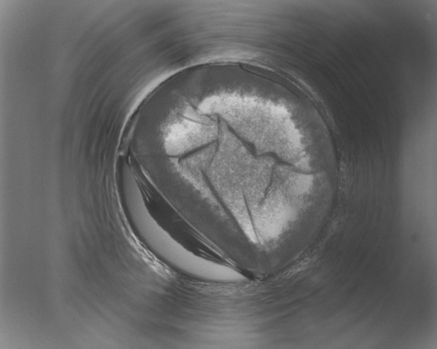 X0000076080948200610202037