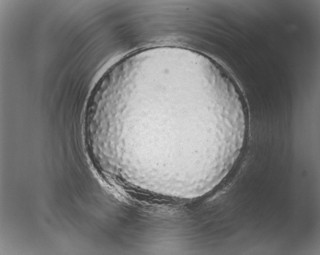 X0000076080949200610202037