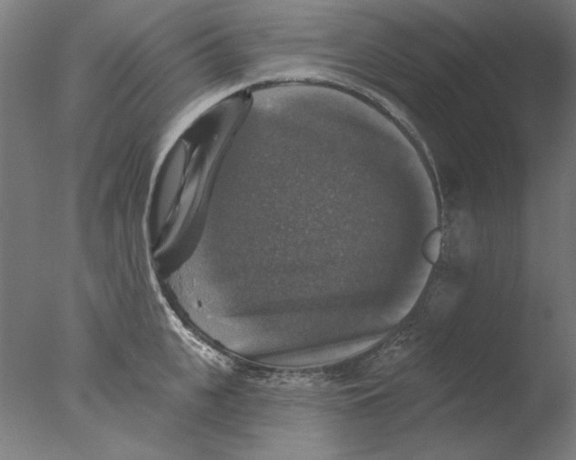 X0000076080951200610202037