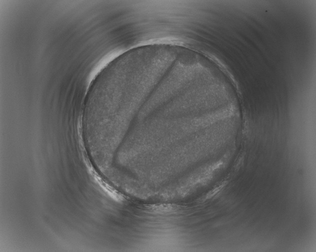 X0000076080952200610202037