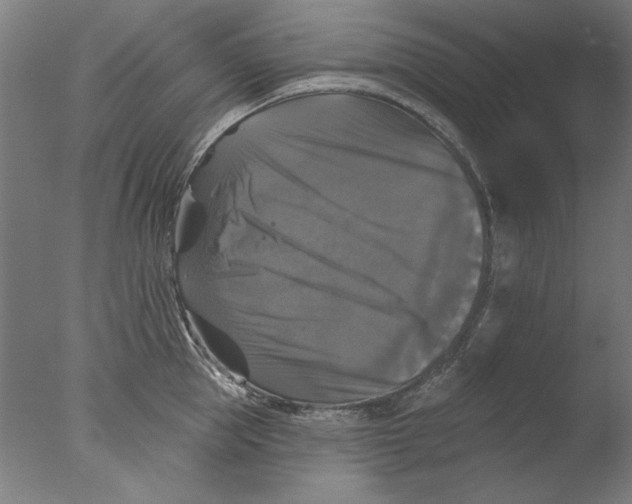 X0000076080953200610202037