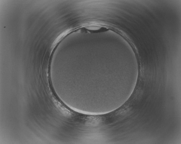 X0000076080954200610202037