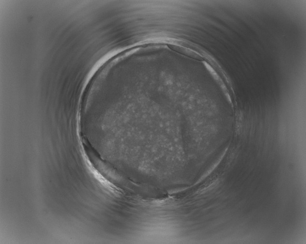 X0000076080955200610202037