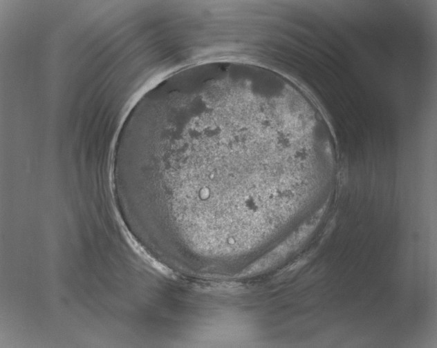 X0000076080957200610202037