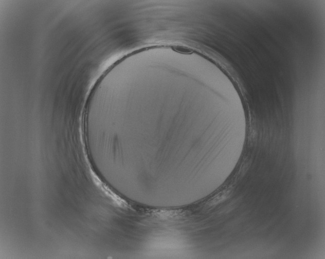 X0000076080958200610202037