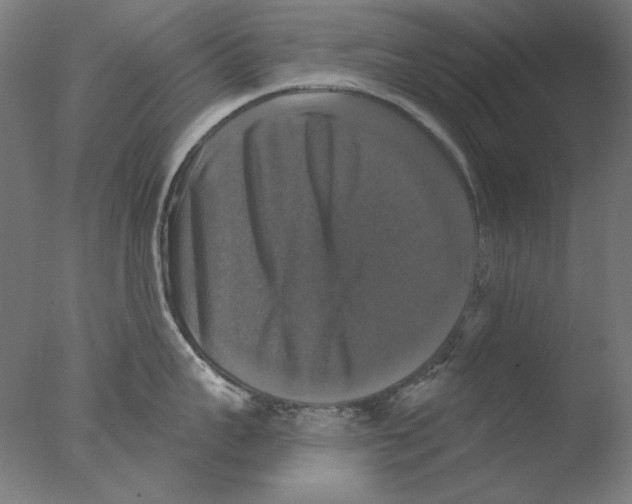 X0000076080959200610202037