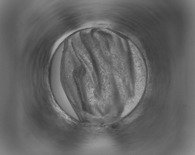 X0000076080960200610202037