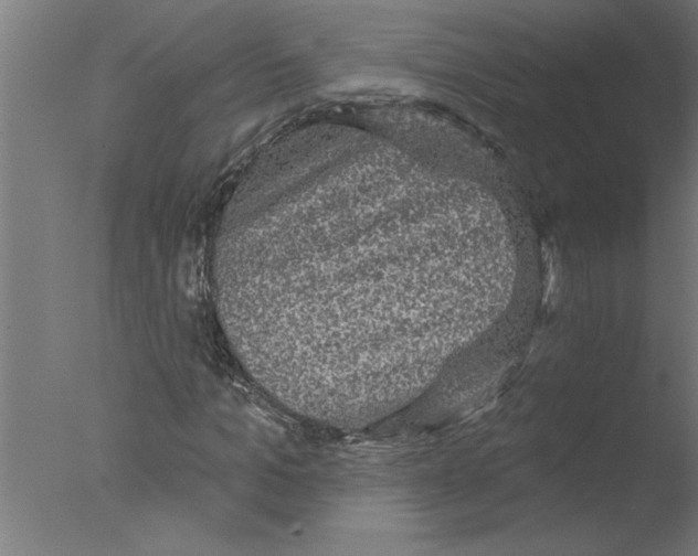 X0000076080965200610202036