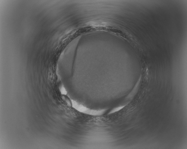 X0000076080966200610202036