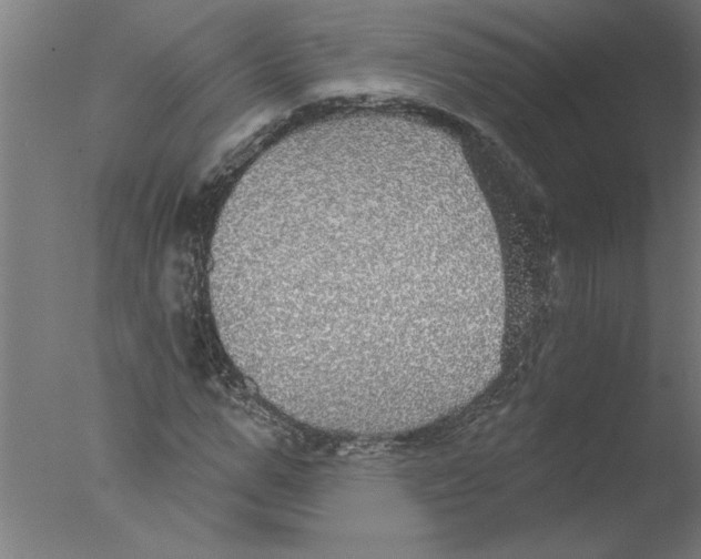 X0000076080967200610202036