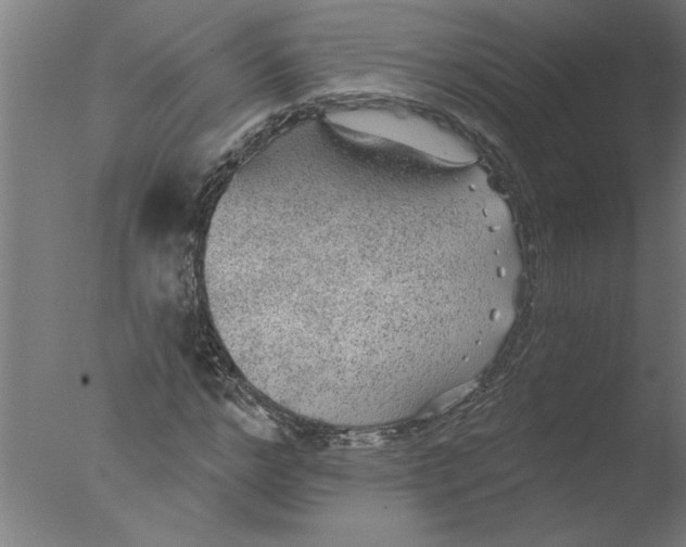 X0000076080968200610202036