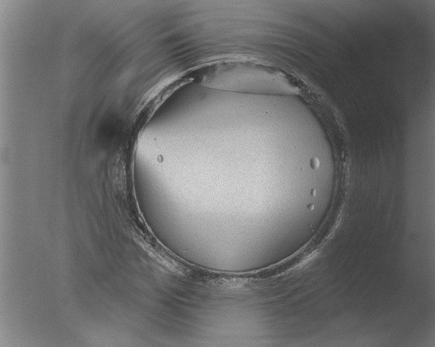 X0000076080969200610202036