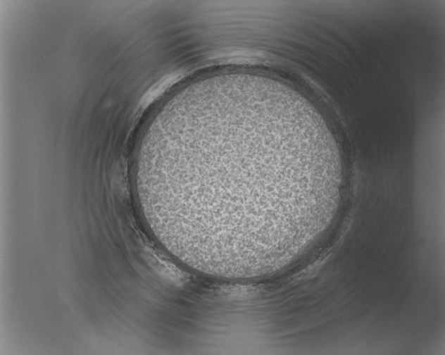 X0000076080970200610202036