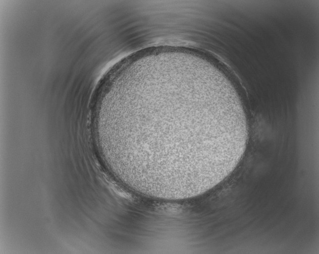 X0000076080971200610202036