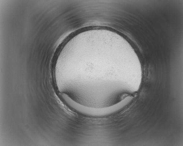 X0000076080972200610202036